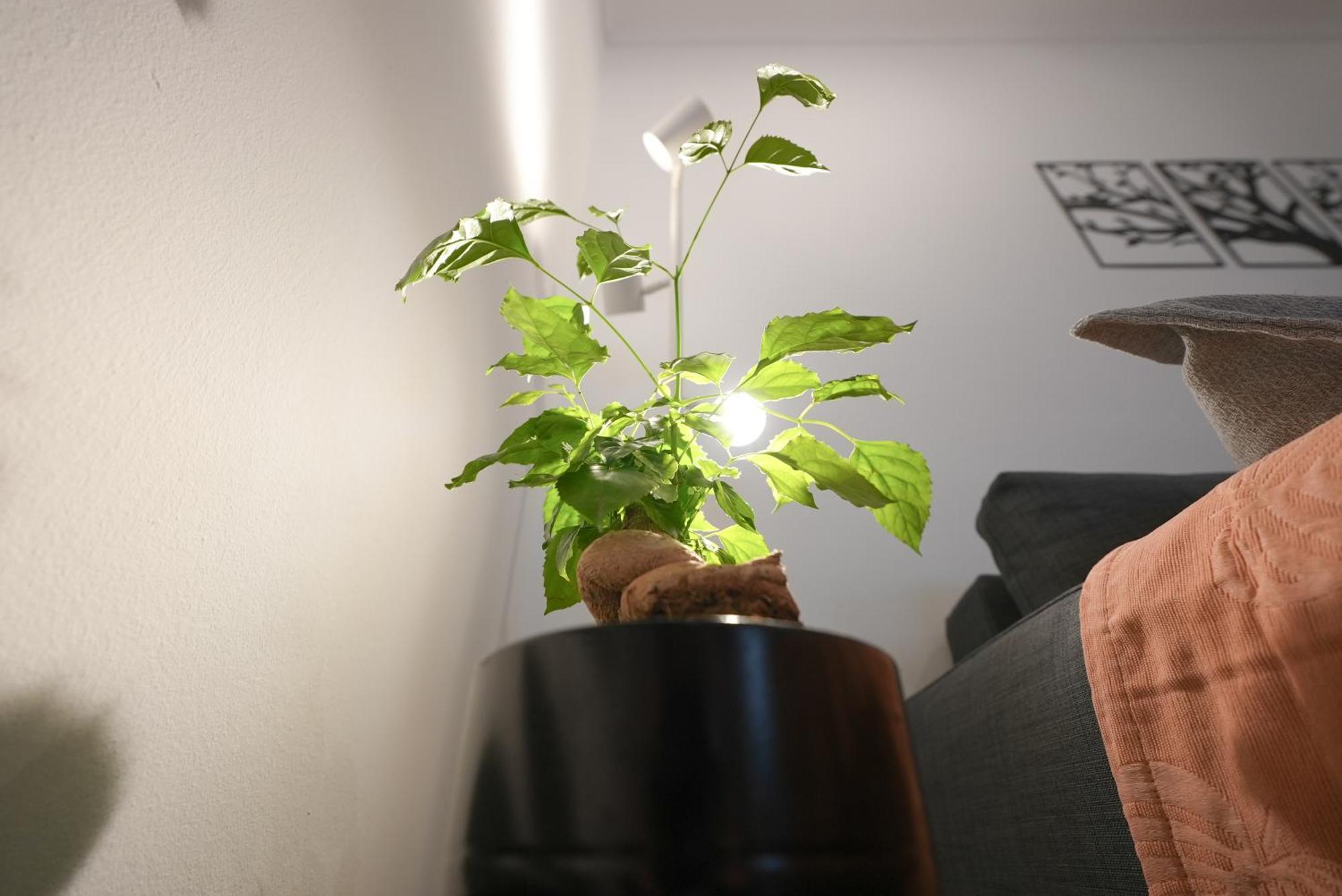 אתונה Syntagma Square, 50Sqm Nikis Luxurious Apartment מראה חיצוני תמונה